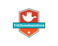 TriCity Web Solutions web design & development company in Chandigarh