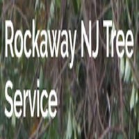 Rockaway NJ Tree Service