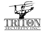 Triton Security