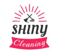 Shiny Cleaning