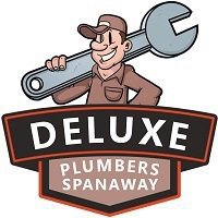 Deluxe Plumbers Spanaway