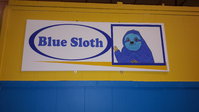 Blue Sloth