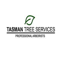 Tasman Tree Services