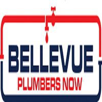 Bellevue Plumbers Now