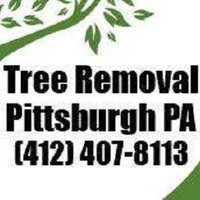 Tree Removal Pittsburgh PA