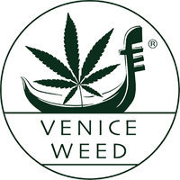 Venice Weed
