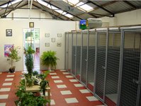 Sunny Meadows Cattery