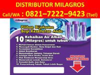 Agen Milagros Surabaya HP/WA 0821-7222-9423 (Tsel)
