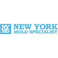 New York Mold Specialist