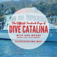 Ron Moore's Dive Catalina