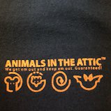 Animals In The Attic