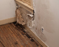 Mold Inspection NYC