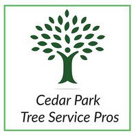 Cedar Park Tree Service Pros