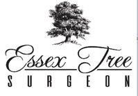 Essex Tree Surgeon