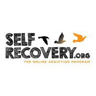 Self Recovery: The Online Addiction Recovery Program