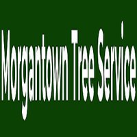 Morgantown Tree Service 