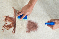 Cheap Carpet Cleaning Ballarat