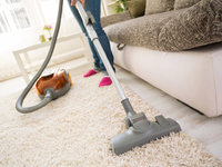 Professional Carpet Cleaning Geelong West