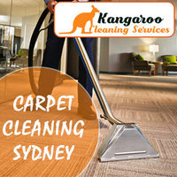 Kangaroo Cleaning Services - Carpet Cleaning Sydney