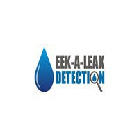 Eek A Leak Detection