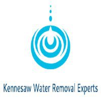 Kennesaw Water Removal Experts