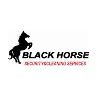 Black Horse Security