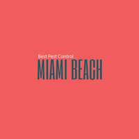 Best Pest Control Miami Beach