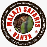 Malazi Safaris – Best Holidays Packages and Safaris in Nairobi