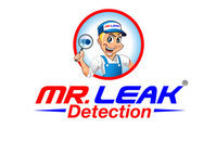Mr. Leak Detection of Pooler