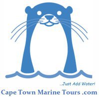 Cape Marine Tours & The Marine Team