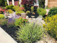 Livermore Landscaping Pros