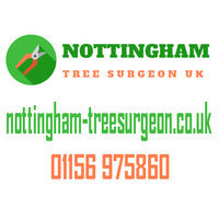 Nottingham TreeSurgeon UK