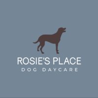 Rosie's Place Dog Daycare