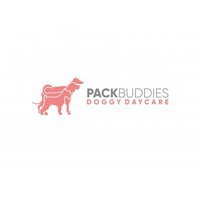 Pack Buddies Doggy Daycare Southampton