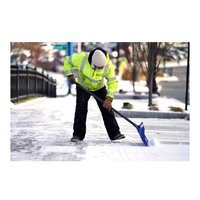 Farina Snow Removal Service