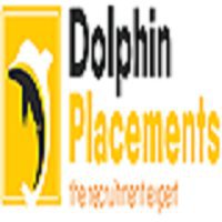 Dolphinplacements-job placement services in Delhi NCR