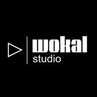 Wokal Studio ▷| Szkoła śpiewu • Nauka śpiewu • Lekcje śpiewu