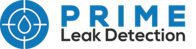 prime leak detection