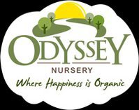 Odyssey Nursery Abu Dhabi