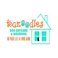 Kazoodles Pet Boutique
