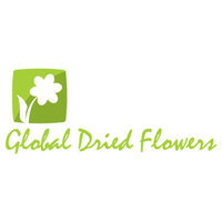 Global Dried Flowers