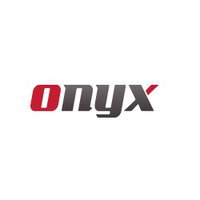 Onyx Government Services LLC 