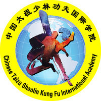 Taizu Shaolin Kung Fu International School 
