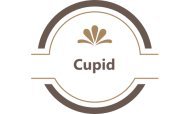 Cupid Hotels