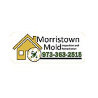 Morristown Mold