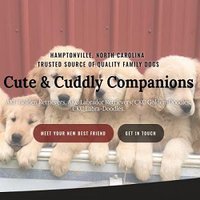Cute & Cuddly Companions