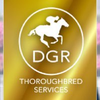 DGR THOROUGHBRED SERVICES PTY. LTD.