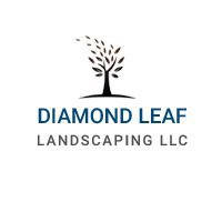 Diamond Leaf Landscape Dubai