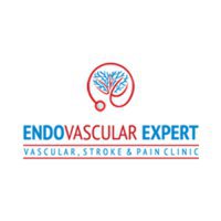 Endovascular Expert
