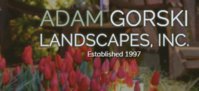 Adam Gorski Landscapes